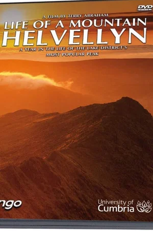 Постер: A Year on Helvellyn