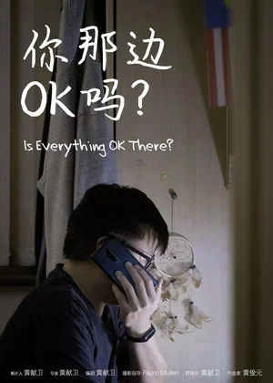 Постер: Is Everything Ok There?