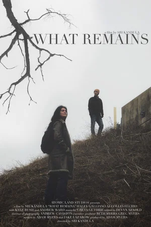 Постер: What Remains