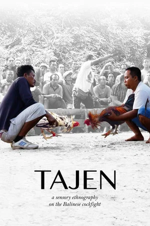 Постер: Tajen