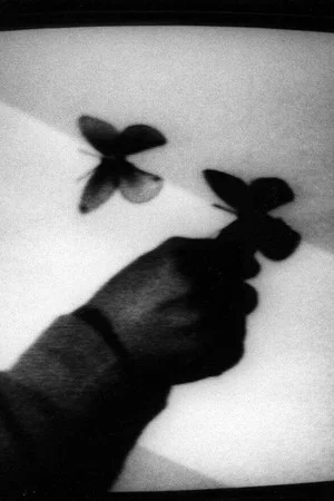 Постер: Trace Of Shadow