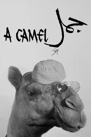 Постер: A Camel