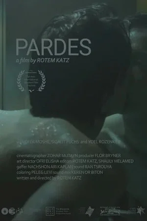 Постер: Pardes
