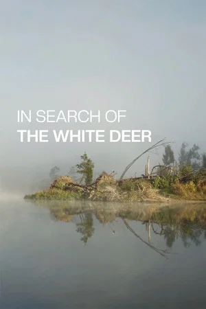 Постер: In Search of the White Deer