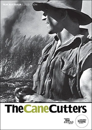 Постер: The Cane Cutters