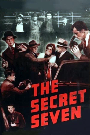 Постер: The Secret Seven