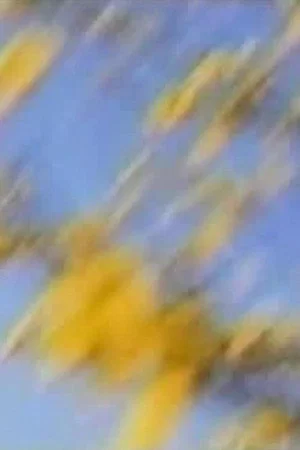 Постер: I Want to See How You See