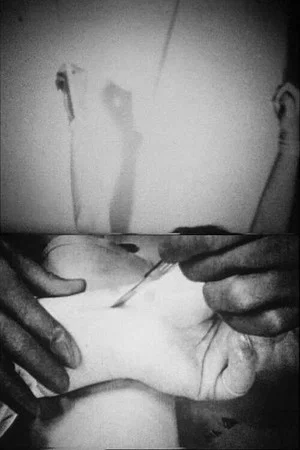 Постер: Blicklust