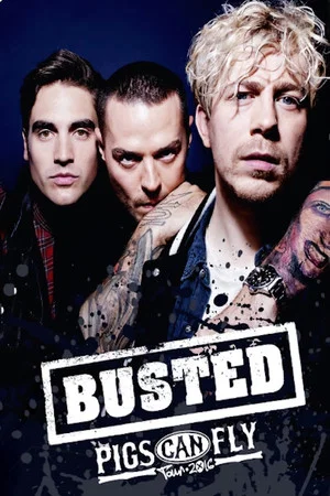 Постер: Busted: Pigs Can Fly Tour 2016