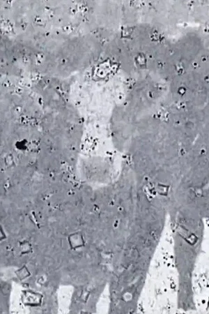 Постер: Psychic Meat