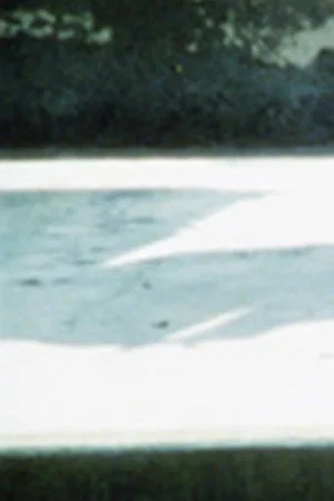 Постер: Costa de Lavos