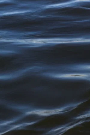Постер: The Flood