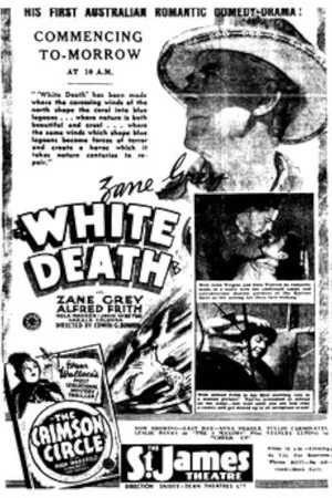 Постер: White Death