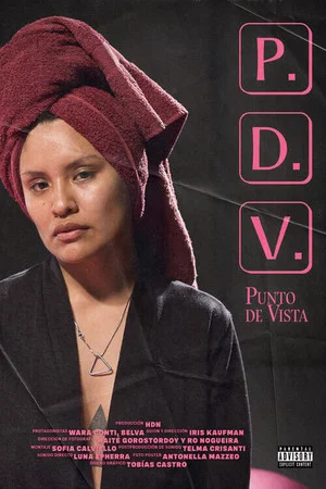 Постер: PDV (Punto de vista)