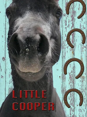 Постер: Little Cooper
