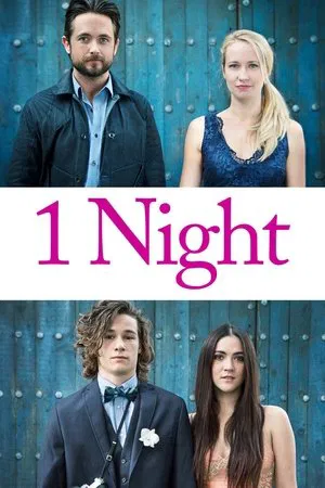 Постер: 1 Night