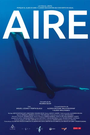 Постер: Aire
