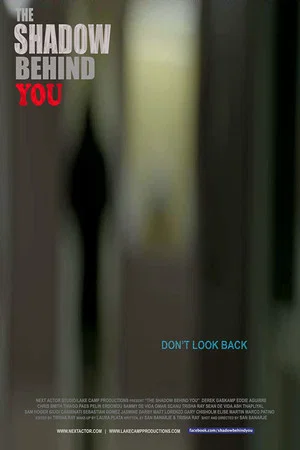 Постер: The Shadow Behind You