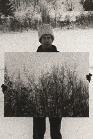 Постер: Mirror
