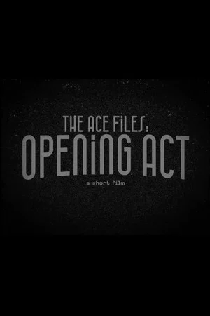 Постер: The Ace Files: Opening Act
