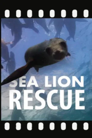 Постер: Sea Lion Rescue