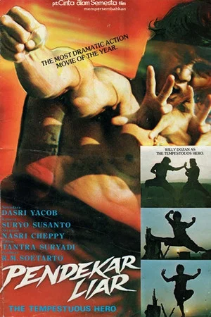 Постер: Wild Fighter