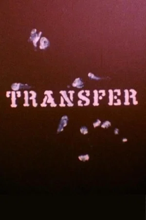 Постер: Transfer