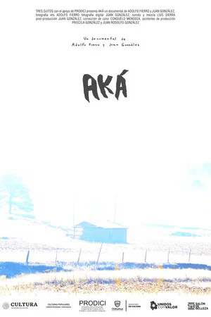Постер: AKÁ
