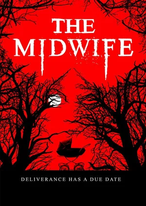 Постер: The Midwife
