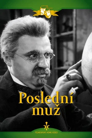Постер: The Last Man