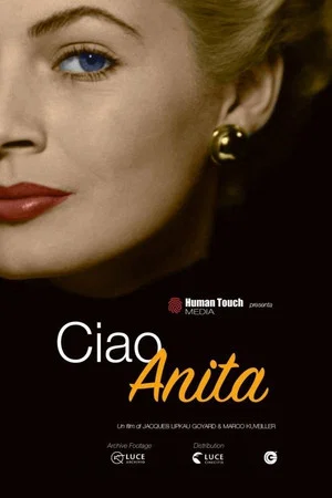 Постер: Ciao Anita