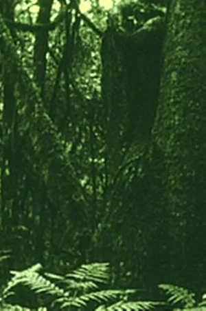 Постер: The Eyes in the Woods and the Taste in the Water