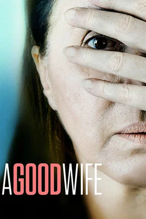 Постер: A Good Wife