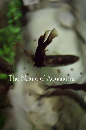 Постер: The Nature of Aquariums