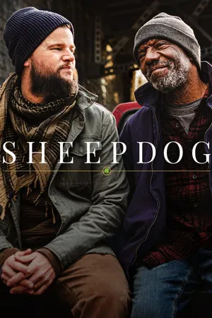 Постер: Sheepdog