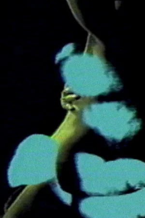 Постер: Letter to a Lover