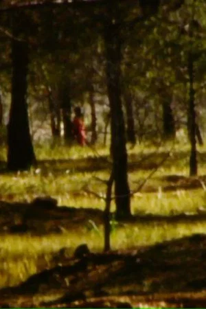 Постер: La forêt