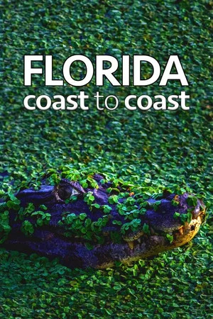 Постер: Florida Coast To Coast