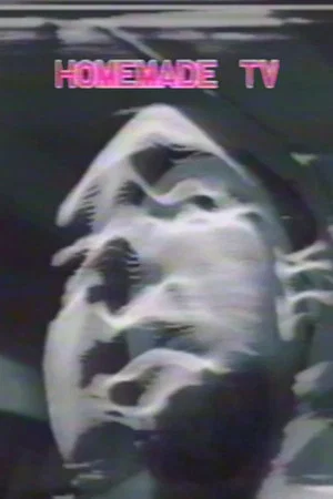 Постер: Homemade TV: Vasulkas II
