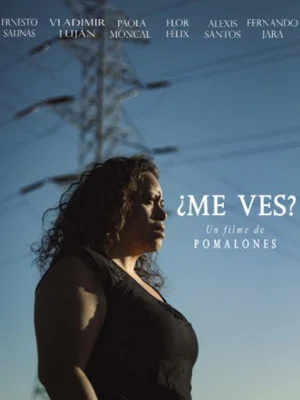 Постер: ¿Me Ves?