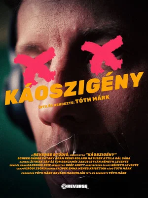 Постер: Chaos Exigency