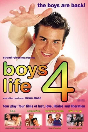 Постер: Boys Life 4