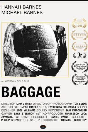 Постер: Baggage