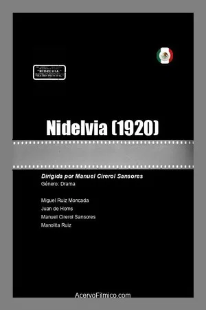 Постер: Nidelvia