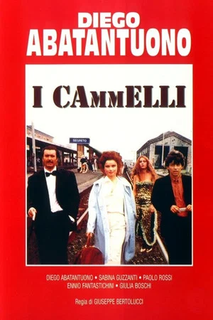 Постер: I cammelli