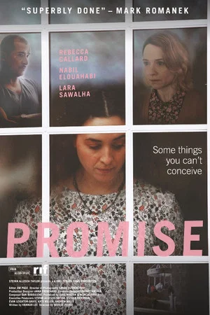 Постер: Promise