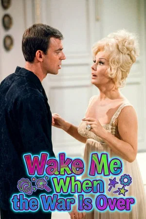 Постер: Wake Me When the War Is Over
