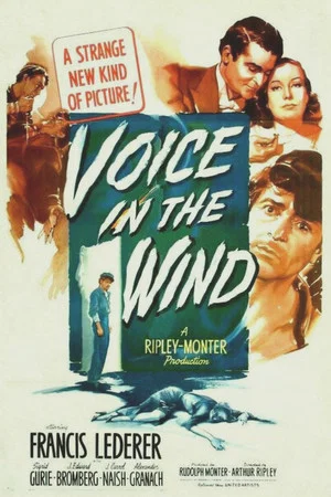 Постер: Voice in the Wind