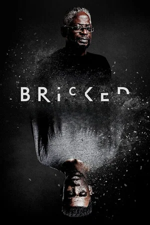 Постер: Bricked