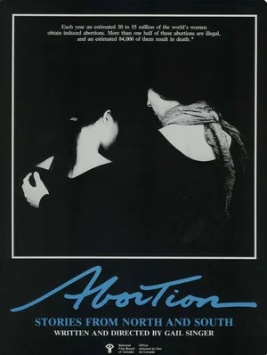 Постер: Abortion: Stories from North and South